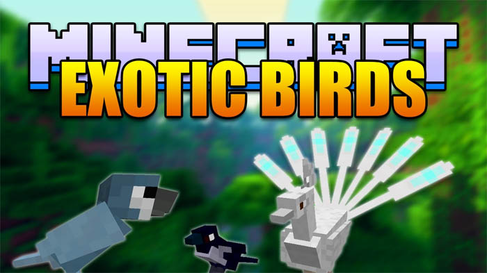 exotic-birds
