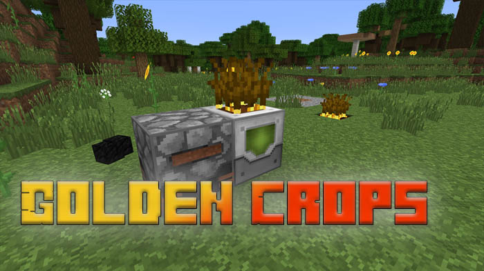 golden-crops