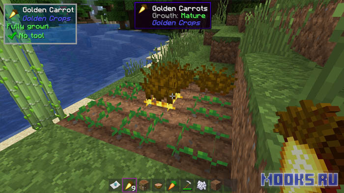 golden-crops1
