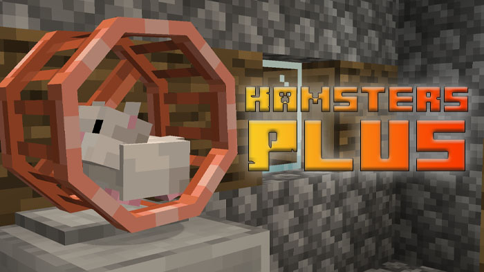 hamsters-plus
