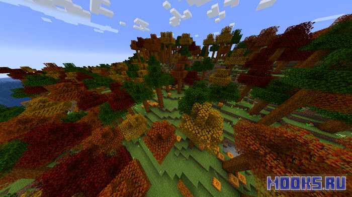 maple-forest1