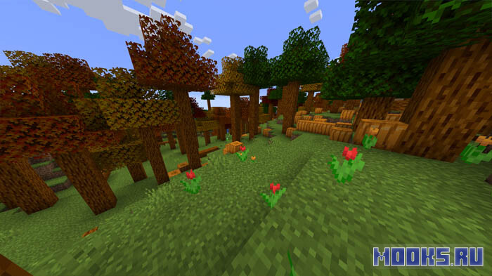 maple-forest2