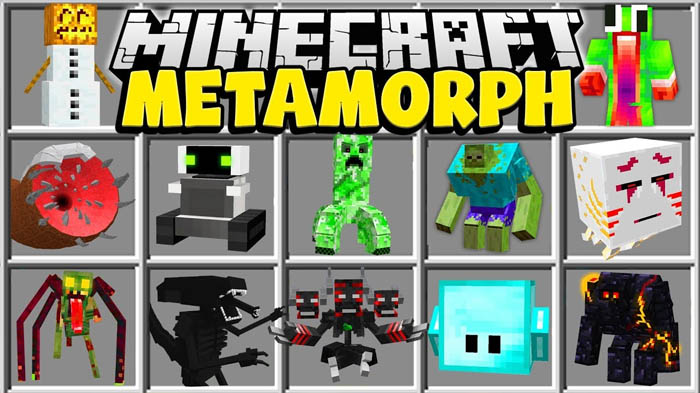 metamorph