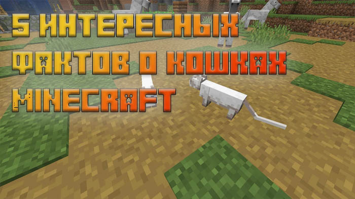 5-interesnykh-faktov-o-koshkakh-minecraft