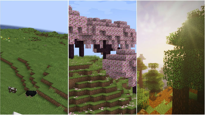 5-luchshih-biomov-dlya-vyzhivaniya-v-minecraft