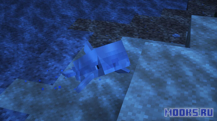delfiny