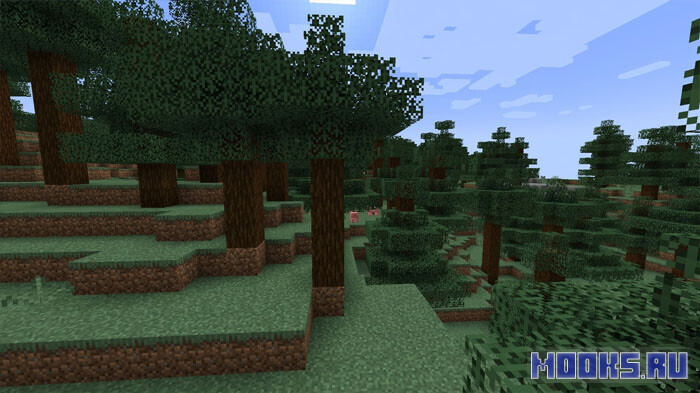 forests202032023