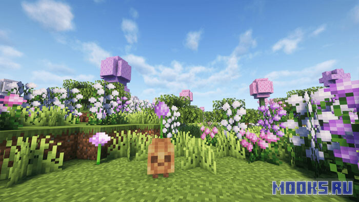 oh-the-biomes-weve-gone3