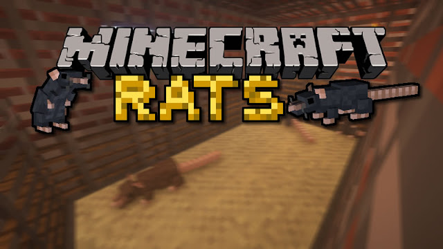 rats