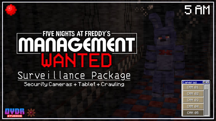 surveillance-package