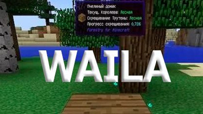 waila