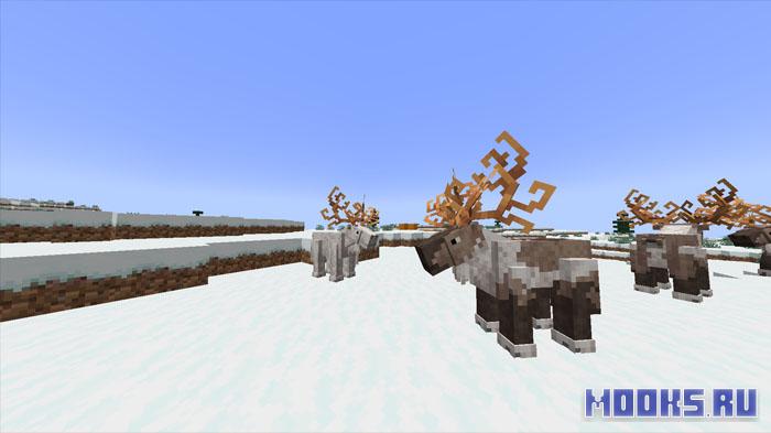 Worry Christmas - праздничный мод, добавляющий различные тематические украшения [1.20.1]